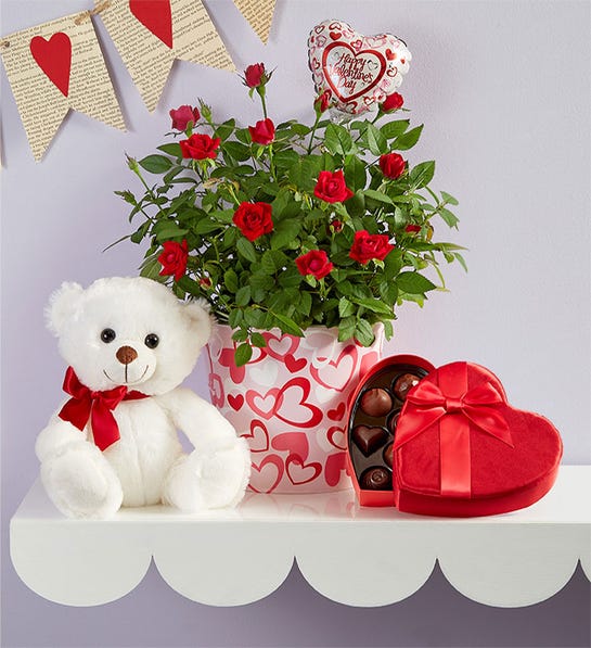 1800flowers.com | Bundle of Love Rose Plant